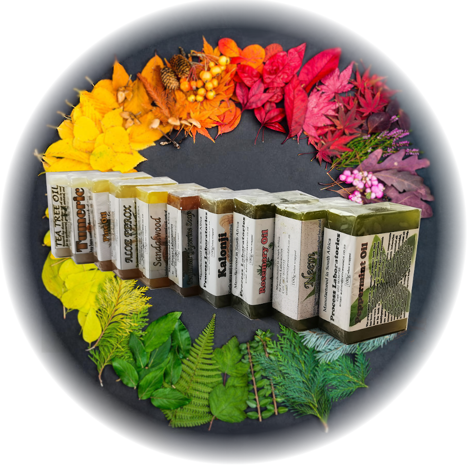 shades_colour_pallette